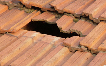 roof repair Oldborough, Devon